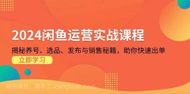 【第14362期】2024闲鱼运营实战课程：揭秘养号、选品、发布与销售秘籍，助你快速出单