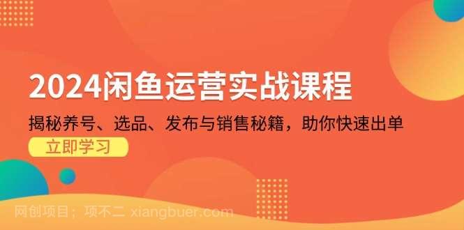 【第14384期】2024闲鱼运营实战课程：揭秘养号、选品、发布与销售秘籍，助你快速出单