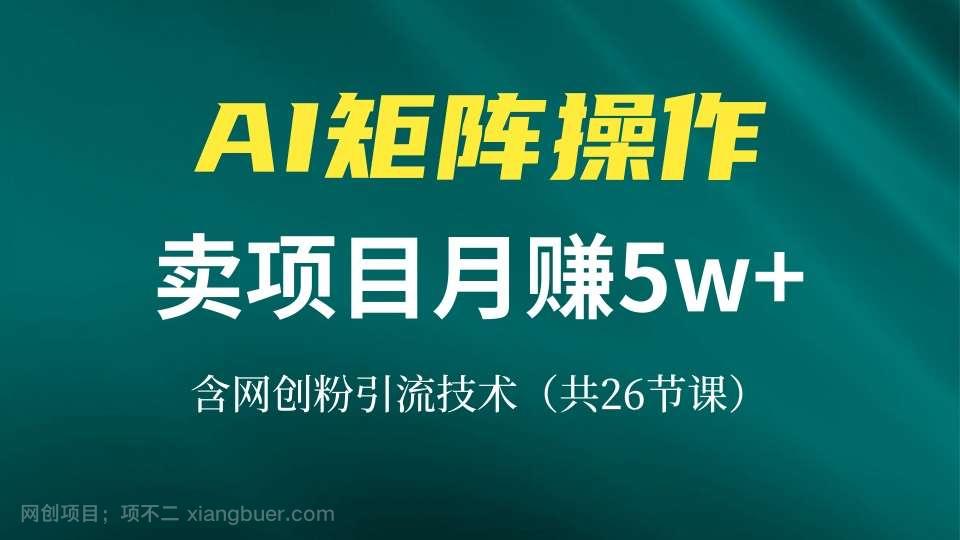 【第14438期】网创IP打造课，借助AI卖项目月赚5万+，含引流技术（共26节课）