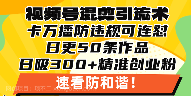 【第14543期】视频号混剪引流技术，500万播放引流17000创业粉，操作简单当天学会