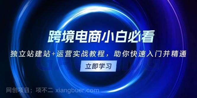 【第14697期】跨境电商小白必看！独立站建站+运营实战教程，助你快速入门并精通