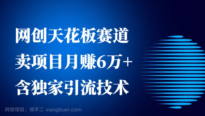 【第14850期】网创天花板赛道，卖项目月赚6万+，含独家引流技术（共26节课）