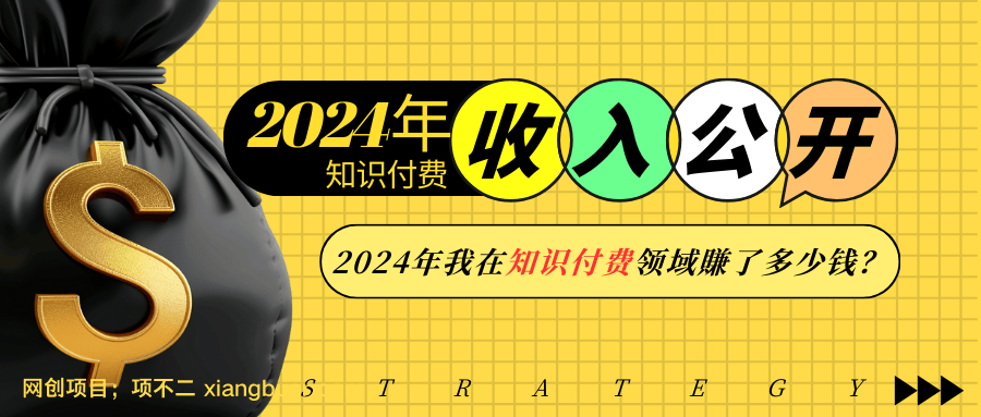 【第15113期】2024年知识付费收入大公开！2024年我在知识付费领域賺了多少钱？