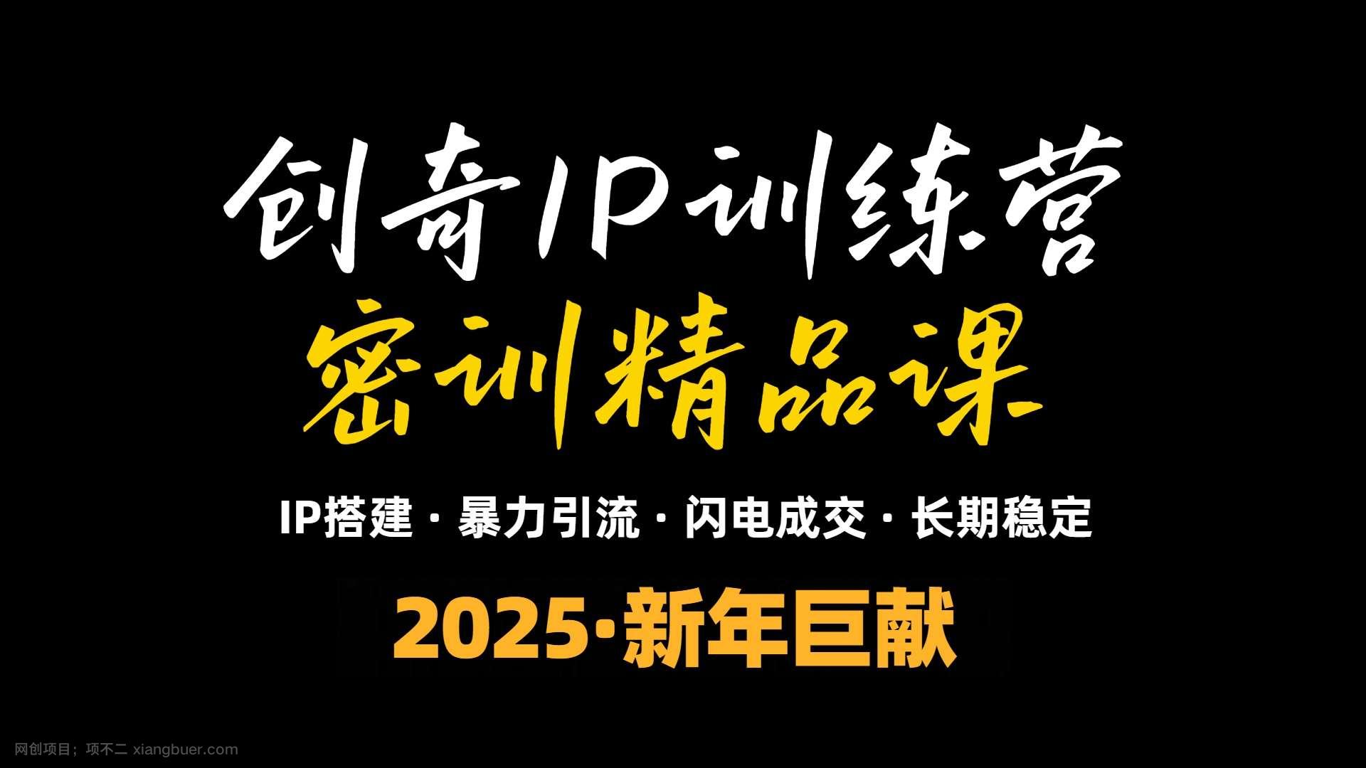 【第13179期】2025年“知识付费IP训练营”小白避坑年赚百万，暴力引流，闪电成交