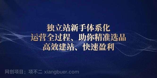 【第13206期】独立站新手体系化 运营全过程，助你精准选品、高效建站、快速盈利