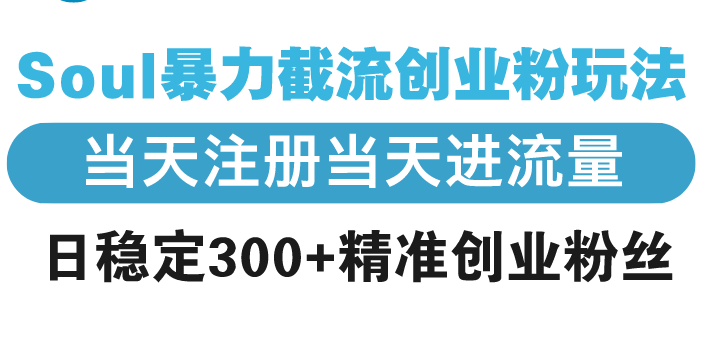 【第13231期】Soul暴力截流创业粉玩法，当天注册当天进流量，日稳定300+精准创业粉丝 