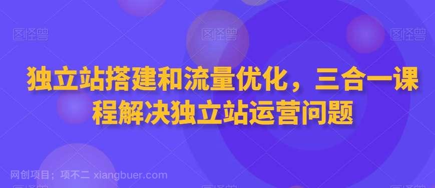 【第10738期】独立站搭建和流量优化，三合一课程解决独立站运营问题