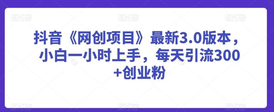 【第10745期】抖音《网创项目》最新3.0版本，小白一小时上手，每天引流300+创业粉【揭秘】