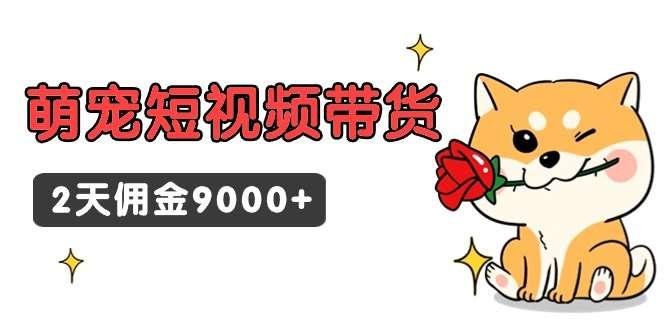 【第10980期】东哲日记·萌宠短视频带货，2天佣金9000+