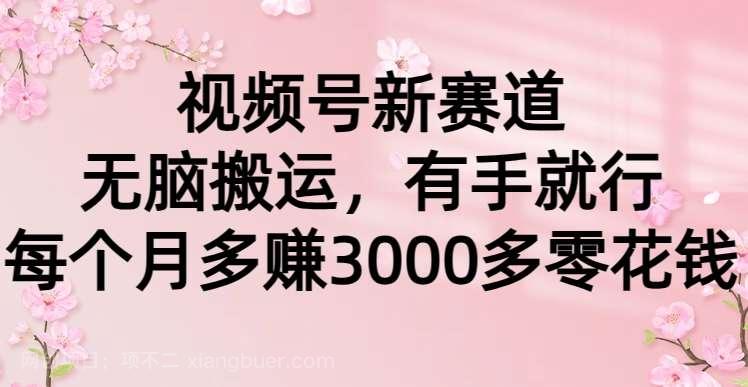 【第10984期】视频号新赛道，无脑搬运，有手就行，每个月多赚3000多零花钱