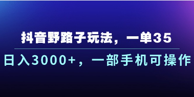 【第12250期】抖音野路子玩法，一单35.日入3000+，一部手机可操作