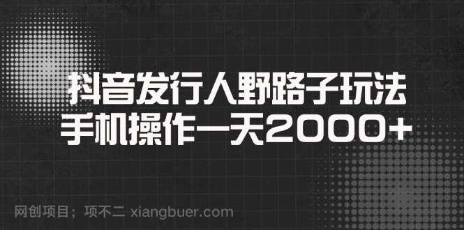 【第14538期】抖音发行人野路子玩法，手机操作一天2000+